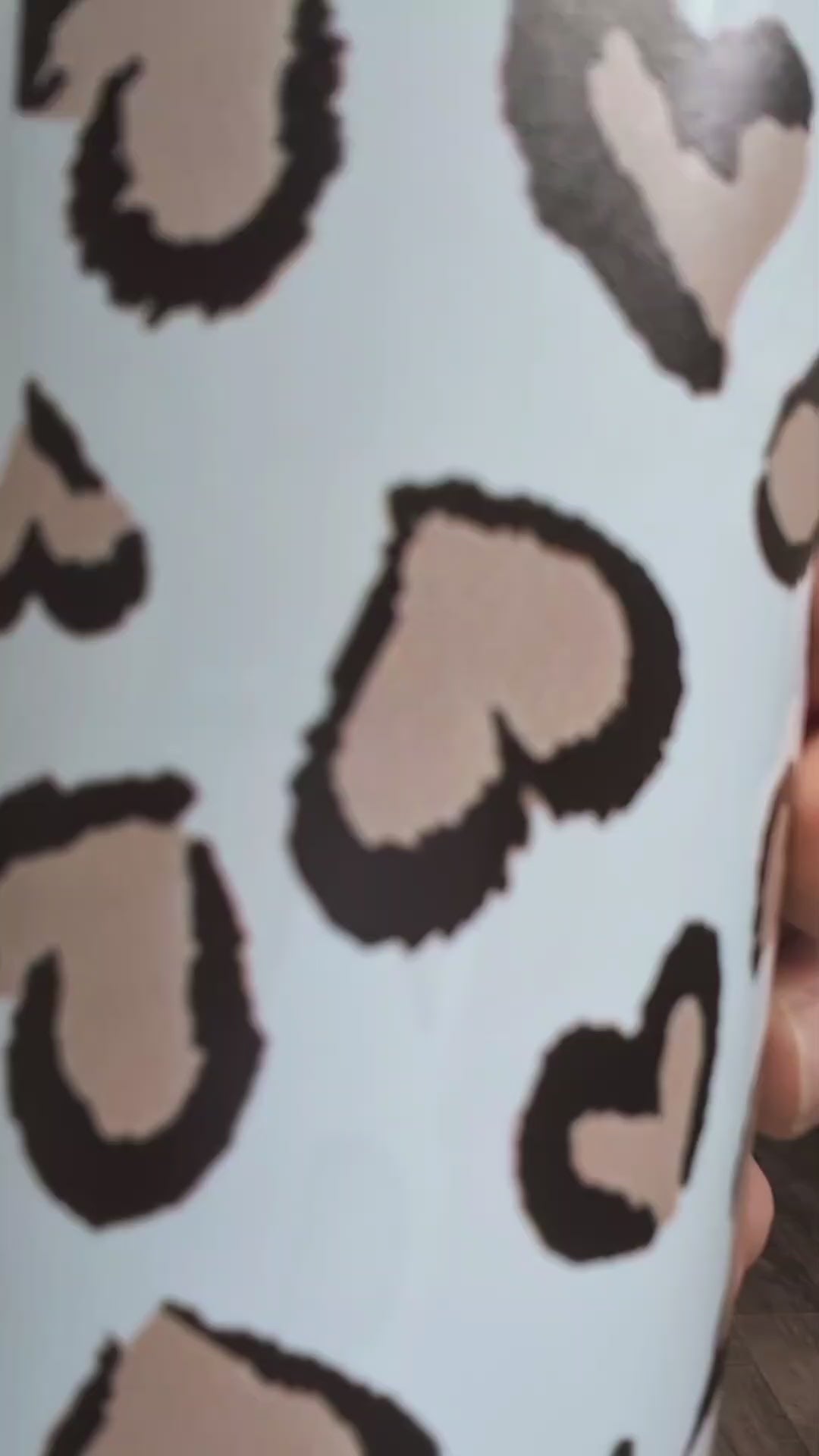 Charger la vidéo : 