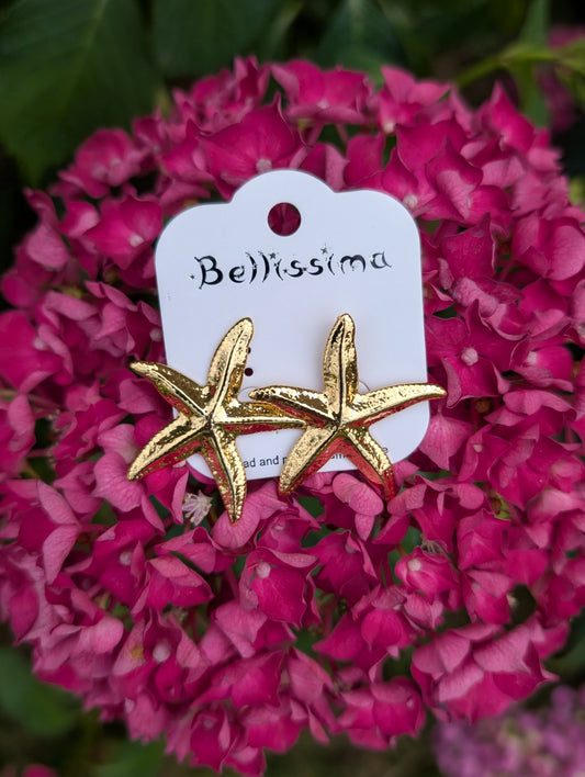 Boucles d'oreilles acier inoxydable bleu - Etoile de mer chic